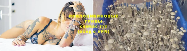 прущая мука Абдулино